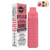 [Clearance] Pop Hit Hybrid Grip 5500 Puff Rechargeable Prefilled Disposable Vape Device